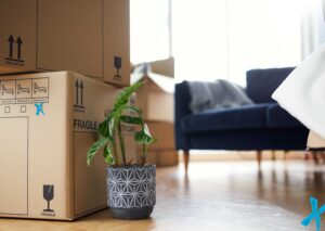 Je kind uit huis
